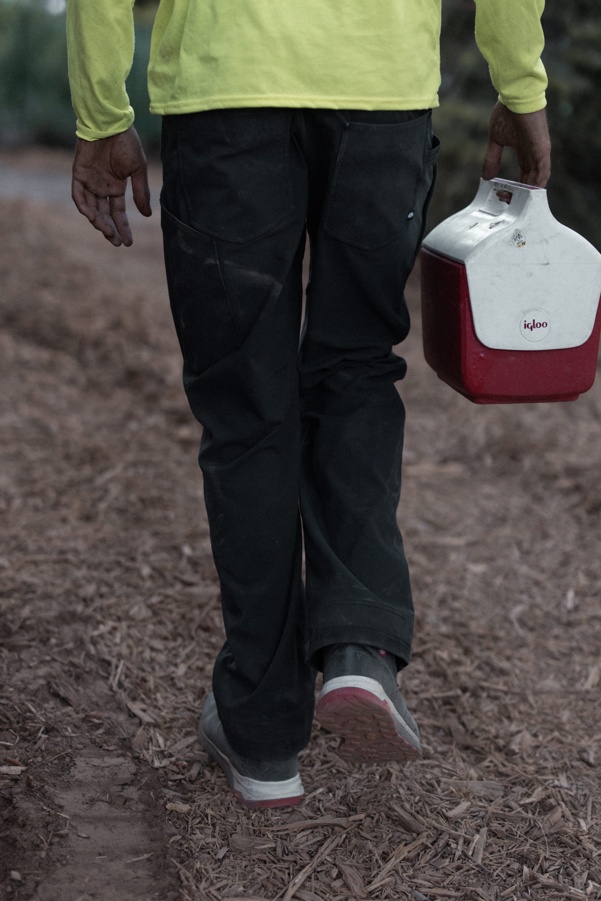 Wearing 686® Men's Unwork® Pant - Slim Fit and gray boots, a person in a yellow shirt walks on a dirt path carrying a red and white Igloo cooler. Their dirty hands hint at recent outdoor or manual work.