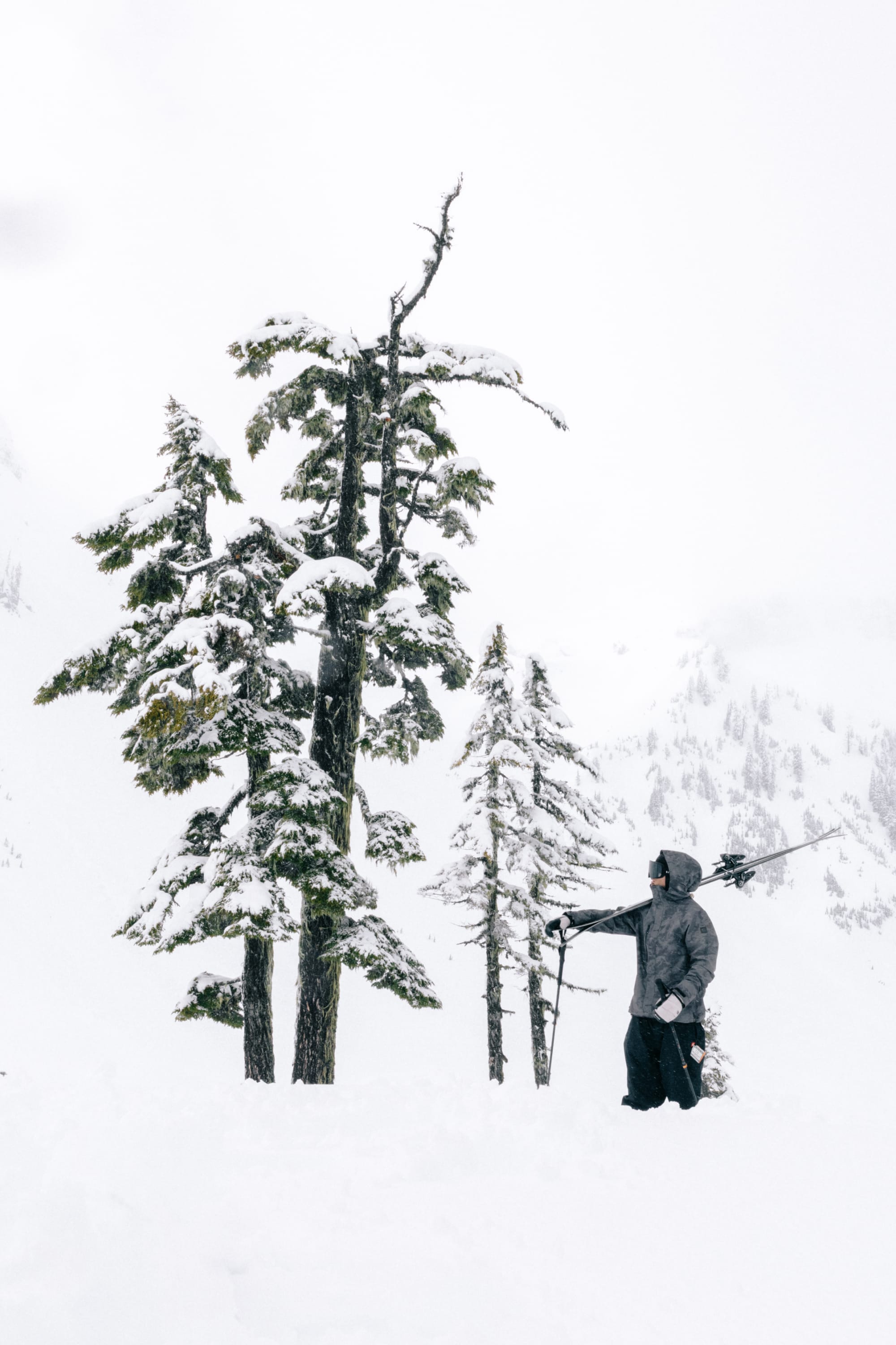 Wearing the 686 SMARTY® Magnetic Goggle by 686, a person in winter clothing stands in deep snow beside snow-covered pine trees, gazing up at the branches with a snowy, mountainous landscape in the background.