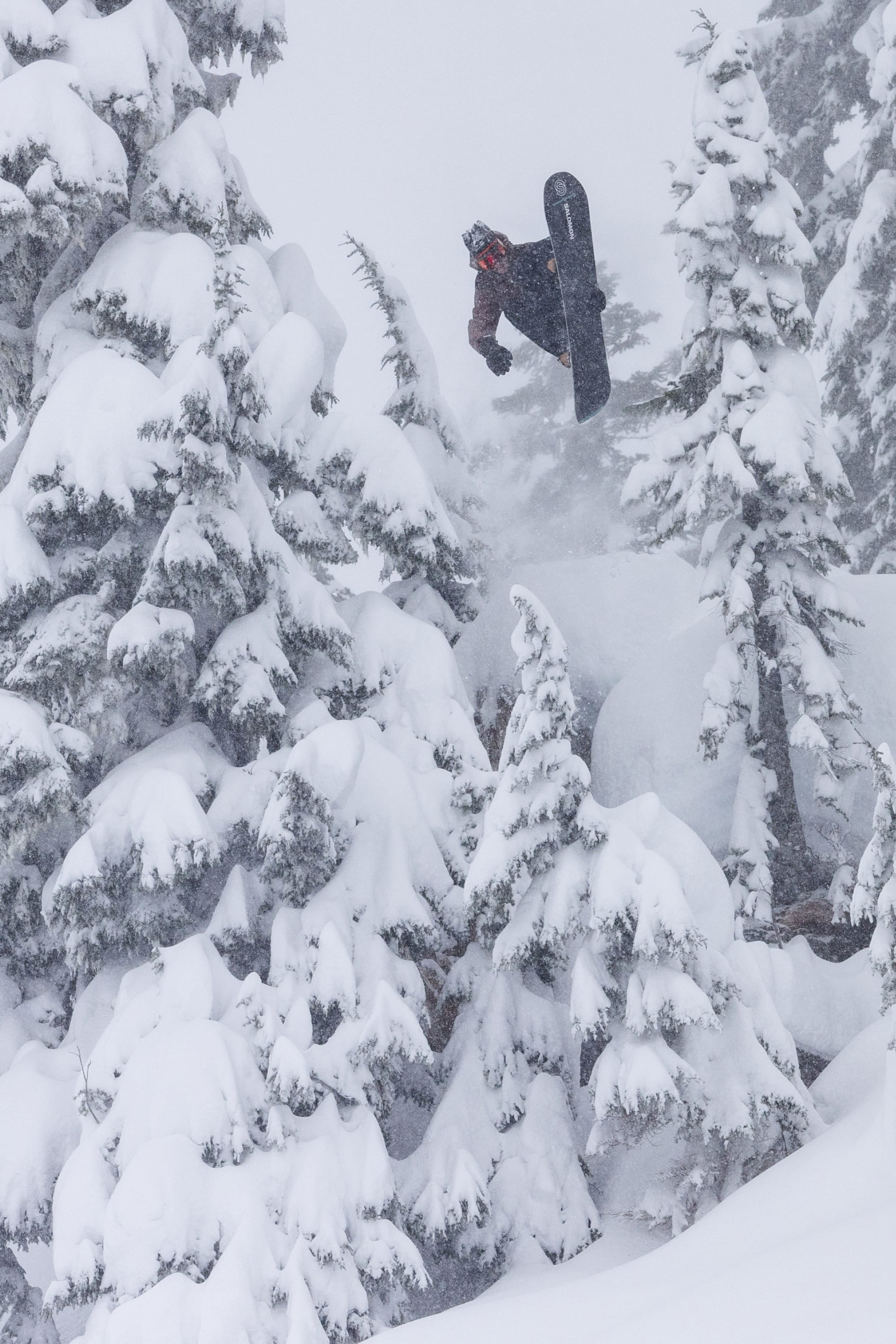 A snowboarder in the 686 Men's GORE-TEX 3L ATV Thermagraph® Jacket launches into a mid-air trick amid tall, snow-covered pines. Thick snow blankets the trees and ground, capturing a dramatic winter scene.