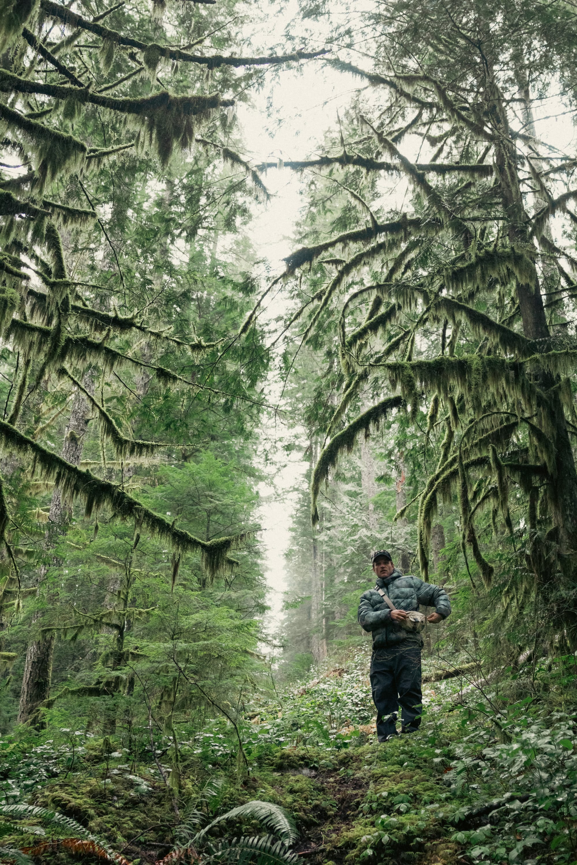 Clad in the 686 Men’s WINDSTOPPER® Pyro™ Down Puffer Jacket by GORE-TEX® LABS, a person stands on a mossy forest trail surrounded by tall, dense trees draped with hanging moss and ferns carpeting the ground.
